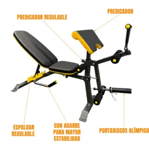 BANCA DDS IMPORTADA AMARILLA CON AGARRE BICEPS - Imagen 2