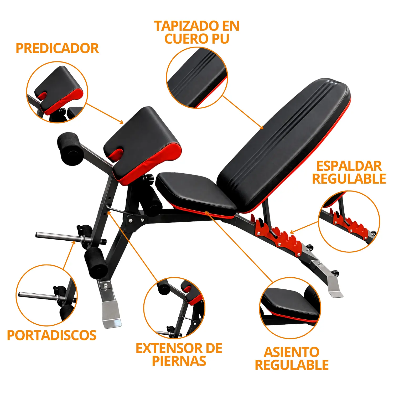 BANCA LIBRE DDS BF 1205 (CON PREDICADOR) - Imagen 4