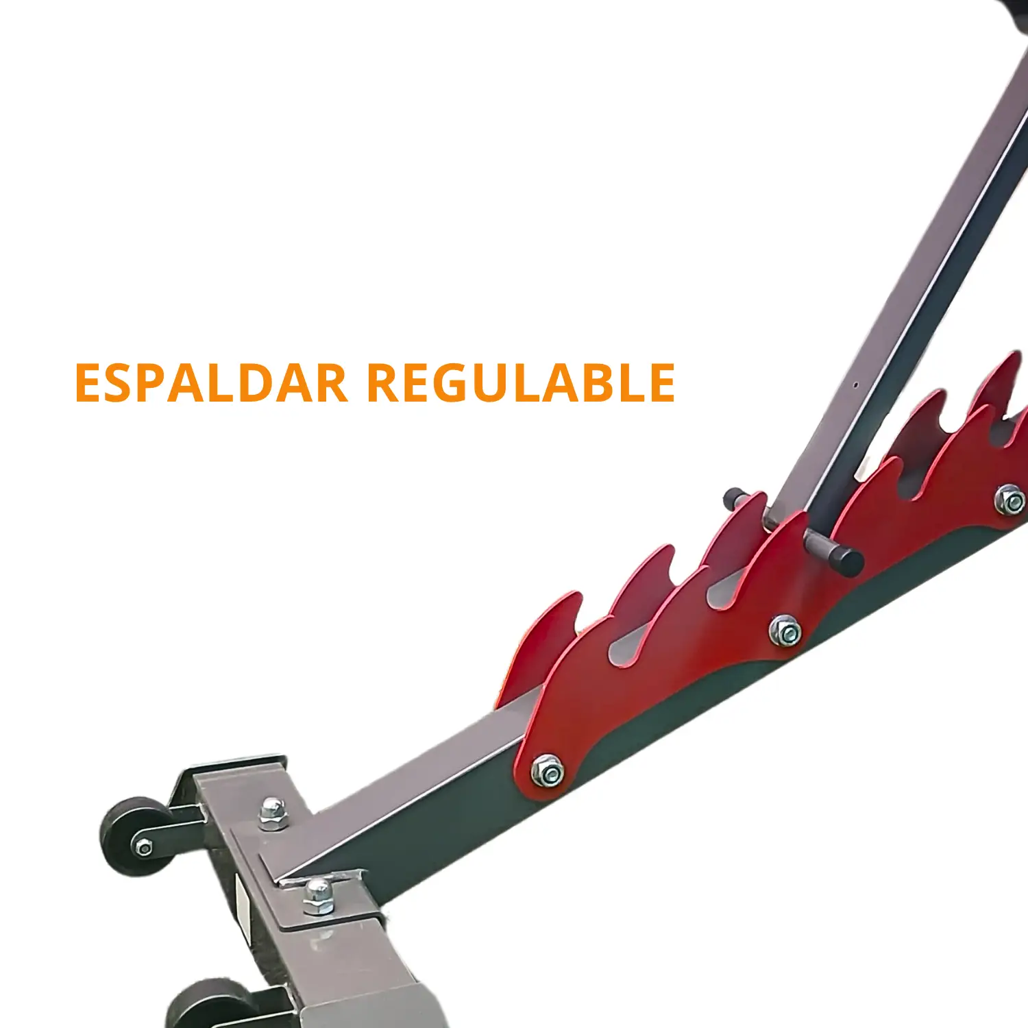BANCA LIBRE DDS BF 1205 (CON PREDICADOR) - Imagen 5