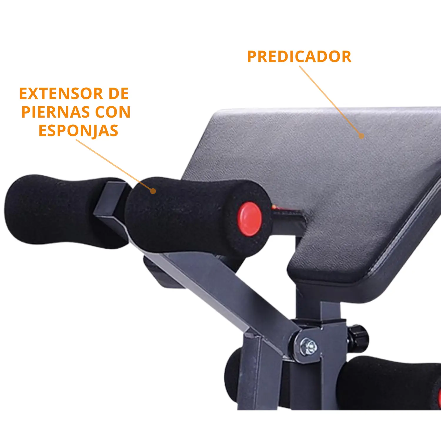 BANCA LIBRE DDS BF 1205 (CON PREDICADOR) - Imagen 6