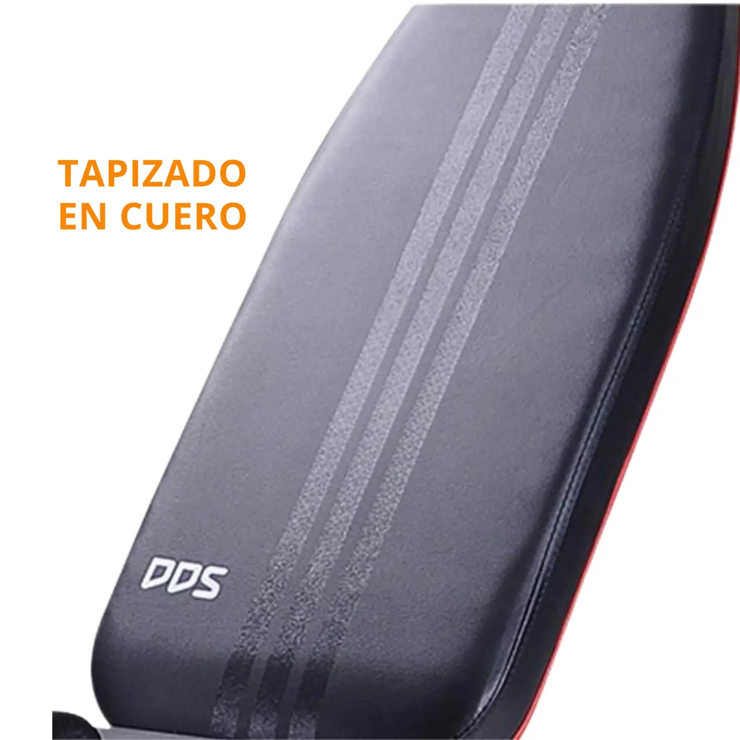 BANCA LIBRE DDS BF 1205 (CON PREDICADOR) - Imagen 7