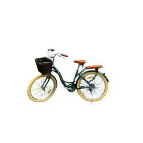 BICICLETA VINTAGE BIFLEX