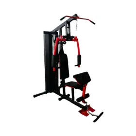MINI GYM MHG6010A (4 PIEZAS) REAL FITNESS