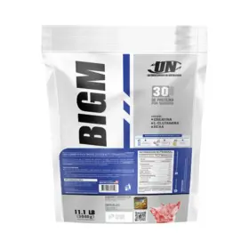 PROTEINA BIGM 5KG