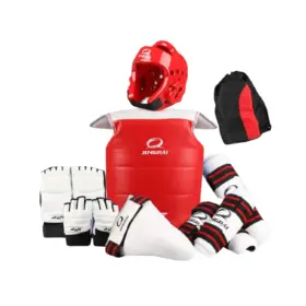 SET PROTECTOR KARATE