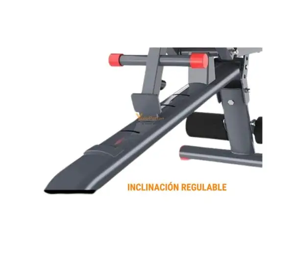 BANCA LIBRE DDS BF (SIN PREDICADOR) - Imagen 3