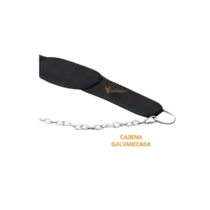 CINTURON LASTRE LONA IMPORTADO XFIT XF-3050 - Imagen 4