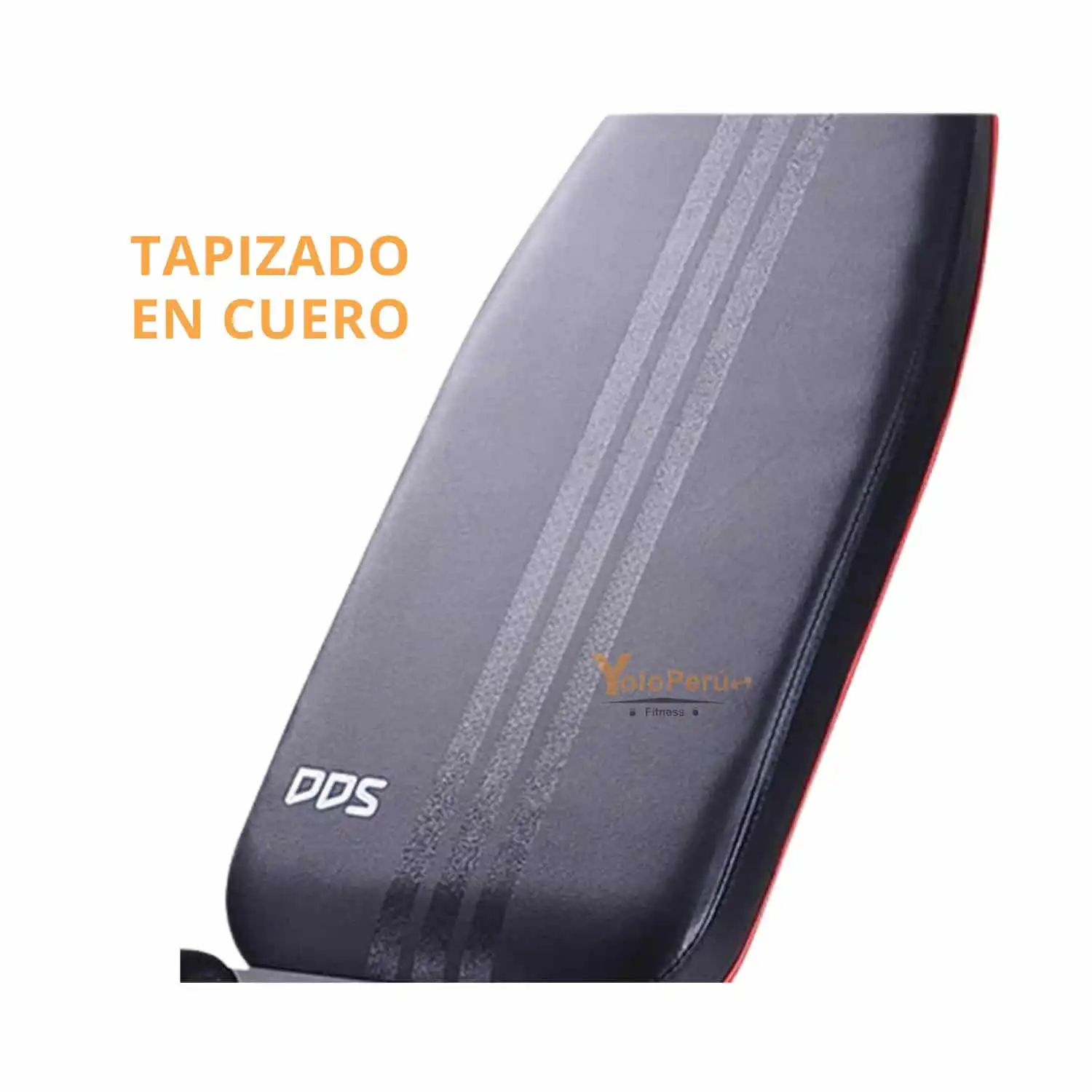 BANCA LIBRE DDS BF 1205 (CON PREDICADOR) - Imagen 5