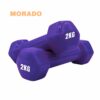 MORADO