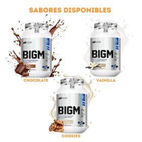 PROTEINA BIGM 2KG