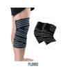 PLOMO