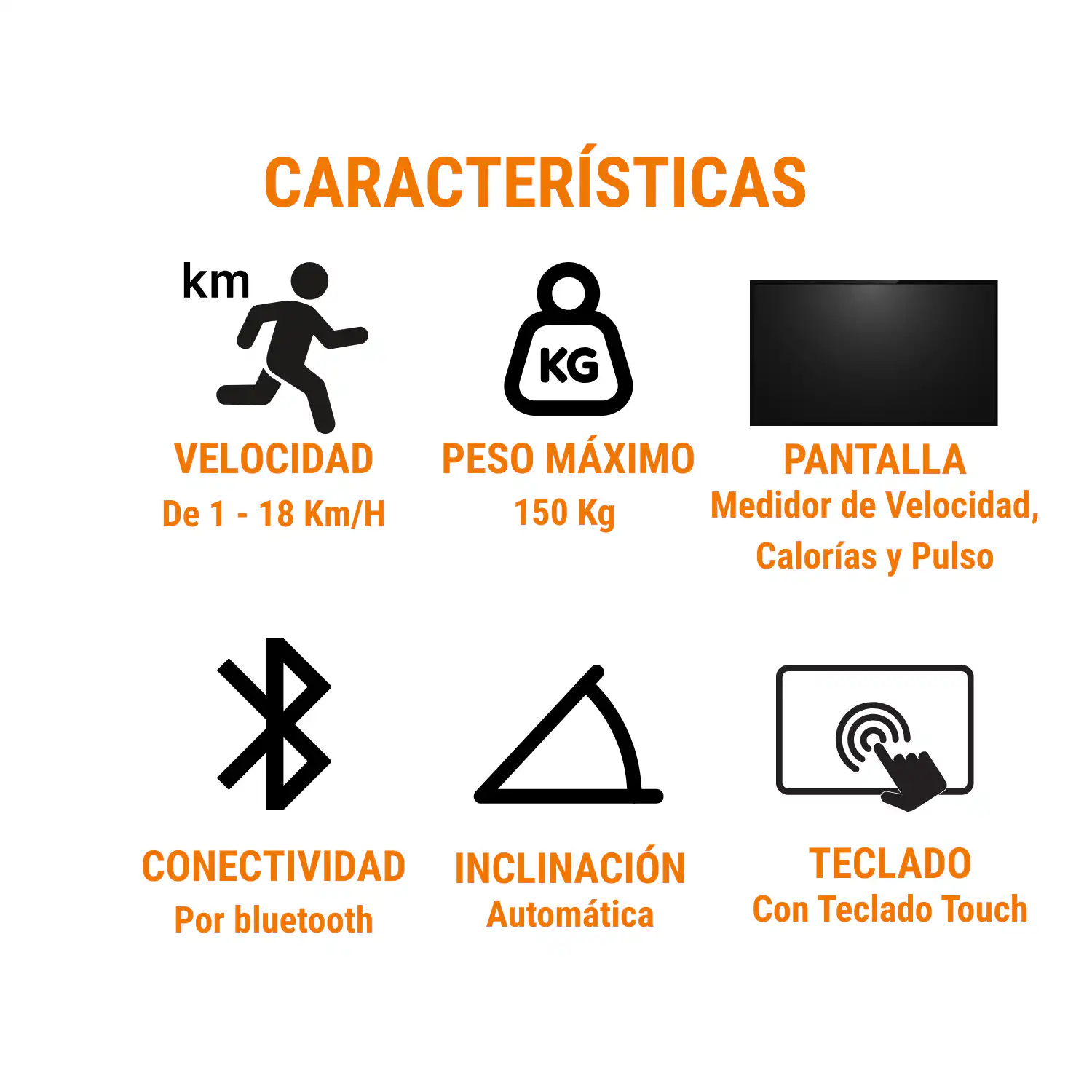 TROTADORA ELECTRICA 3HP PRO FIT (W-5) - Imagen 6