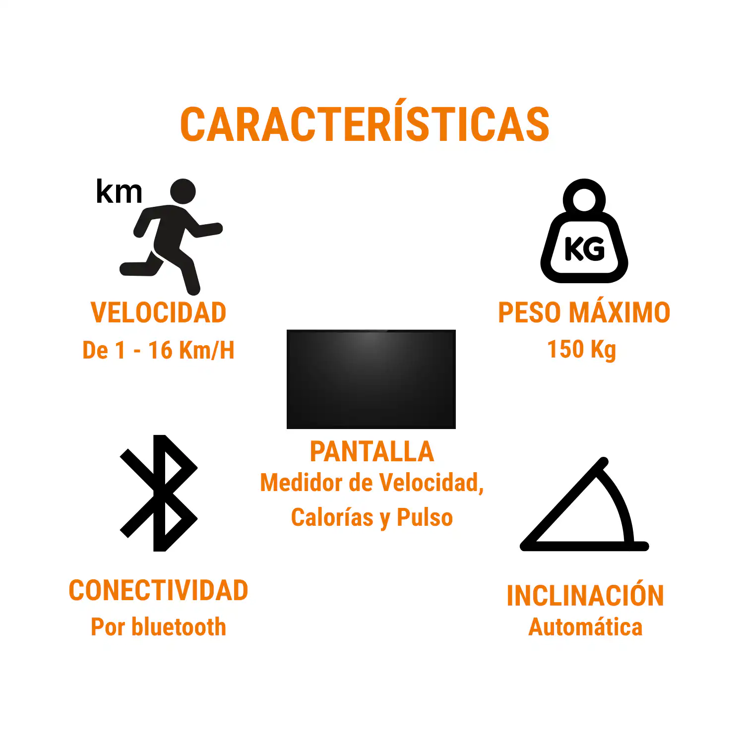 TROTADORA ELECTRICA 2.5HP PRO FIT (W-3) - Imagen 7
