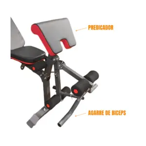 BANCA DDS IMPORTADA ROJA CON AGARRE BICEPS - Imagen 4