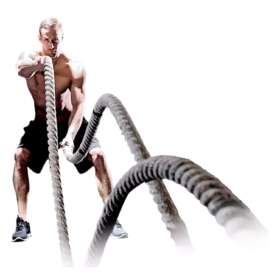 Alternative view of SOGA CROSFIT