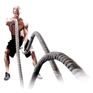 Alternative view of SOGA CROSFIT