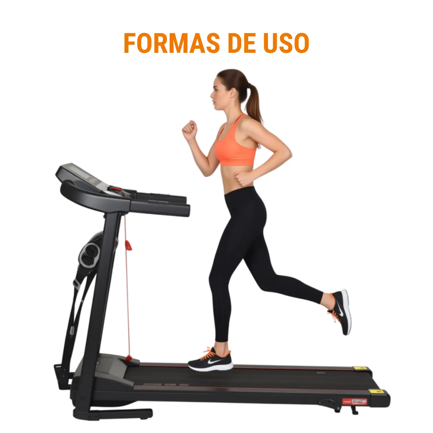 TROTADORA ELECTRICA 2HP CON MASAJEADOR TF - Imagen 6