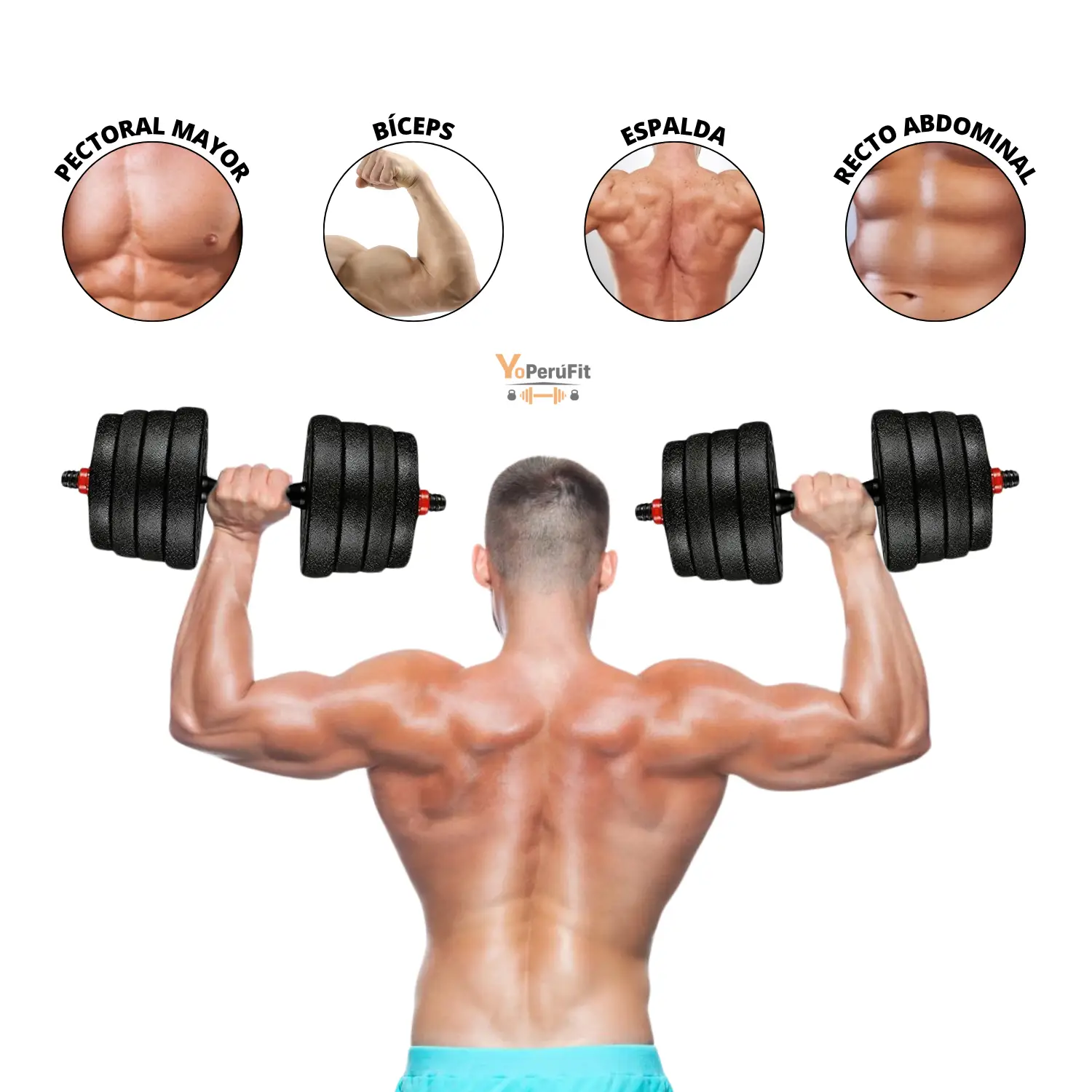 SET CONVERTIBLE 30KG - Imagen 5