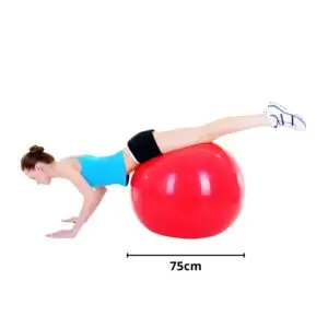 Alternative view of PELOTA DE YOGA 75CM