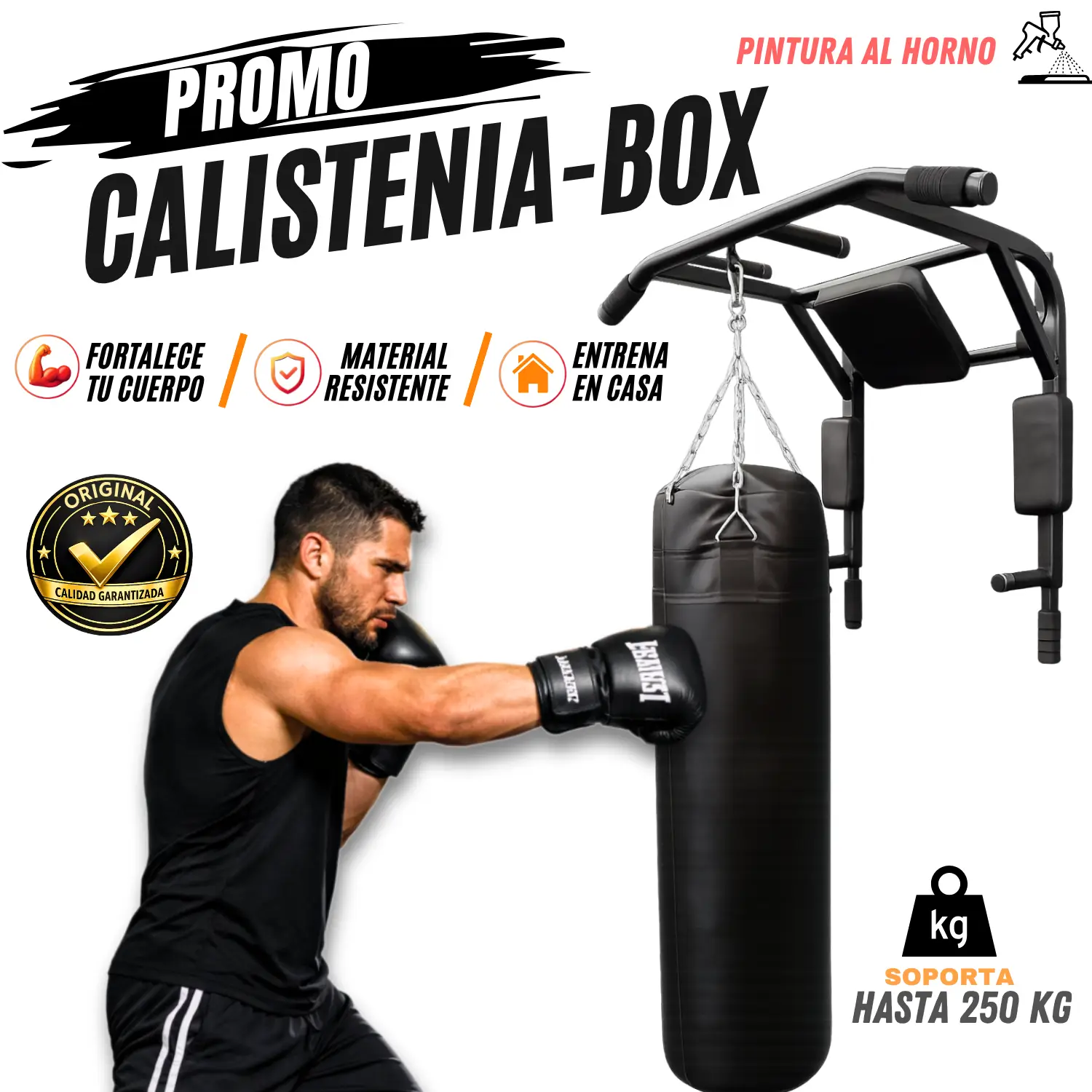 PROMO DE CALISTENIA Y BOX
